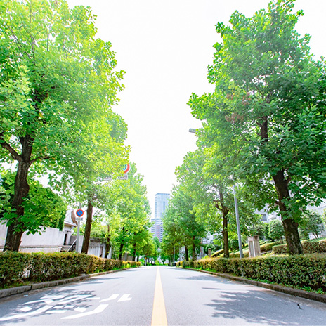 街並み 緑 背景 撮影